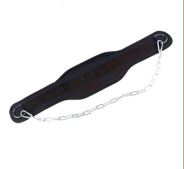 Cinturón de Lastre